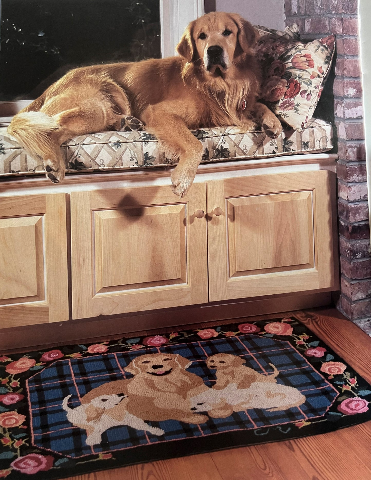 Golden Retrievers