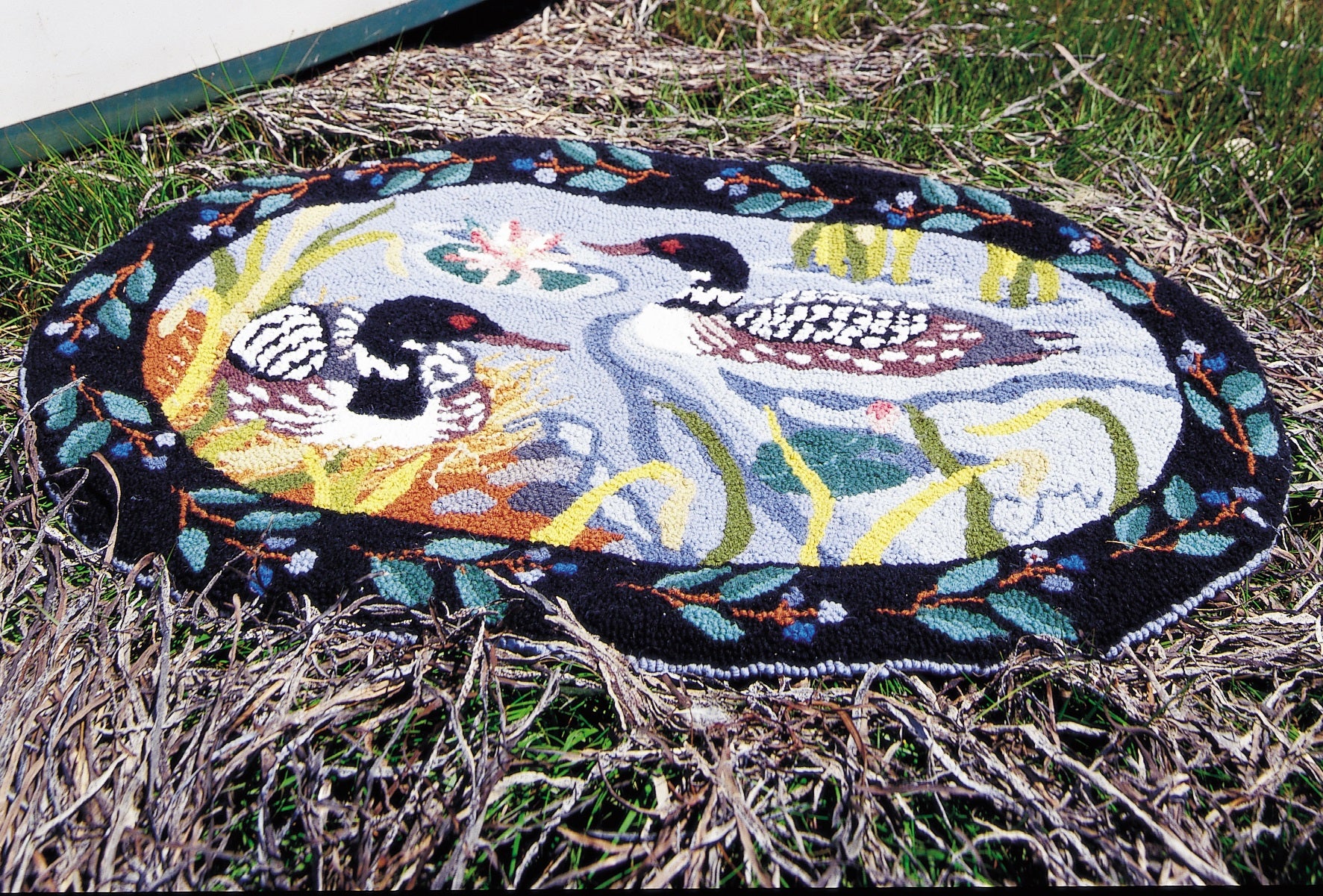 Maine Loon Oval – Claire Murray